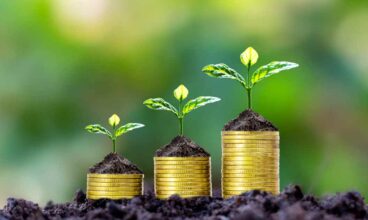 Who Qualifies for Small Business Funding in South Africa – And How to Get It