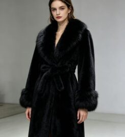 APST Fashion